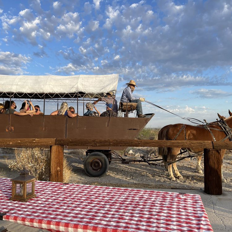 Palm Springs adventure with Covered Wagon Tours