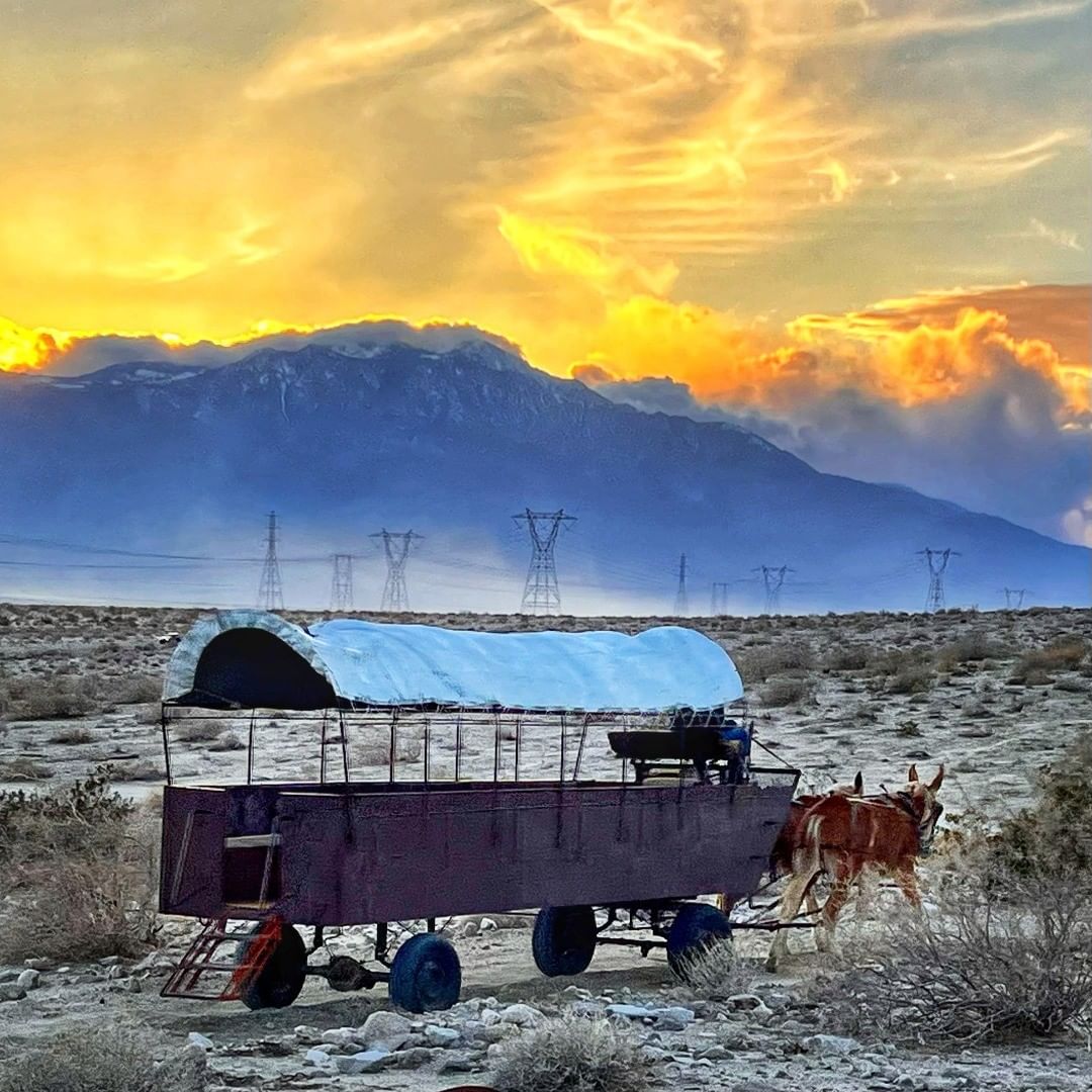 Palm Springs adventure with Covered Wagon Tours