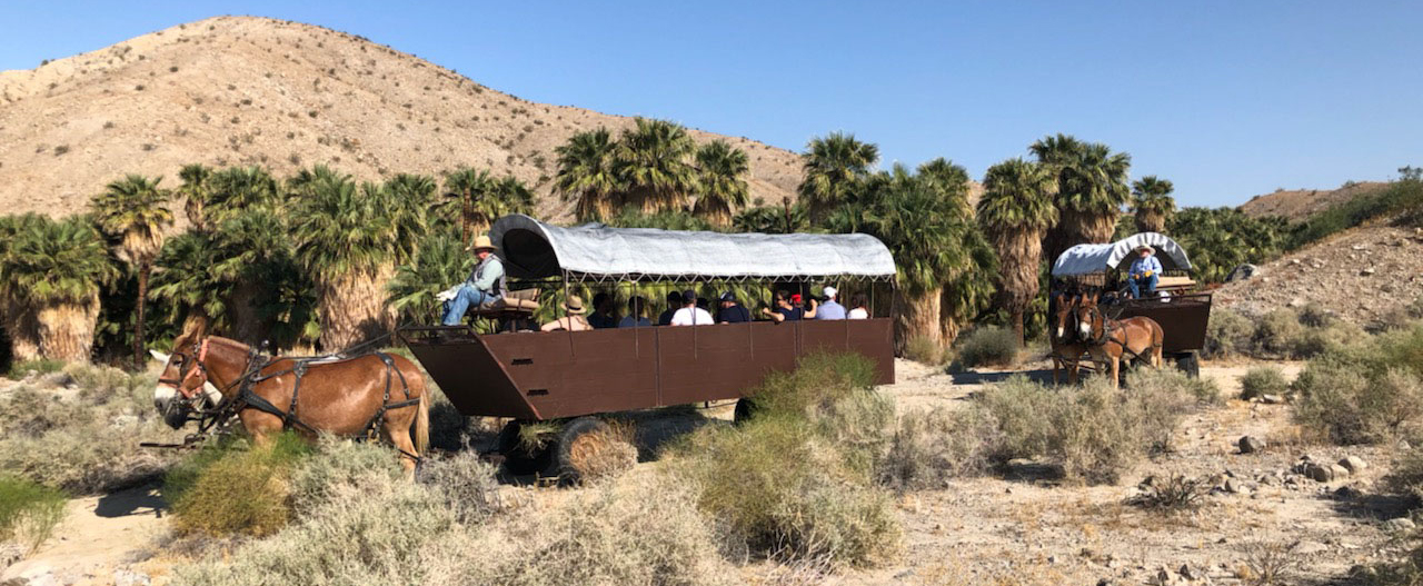wagon tours