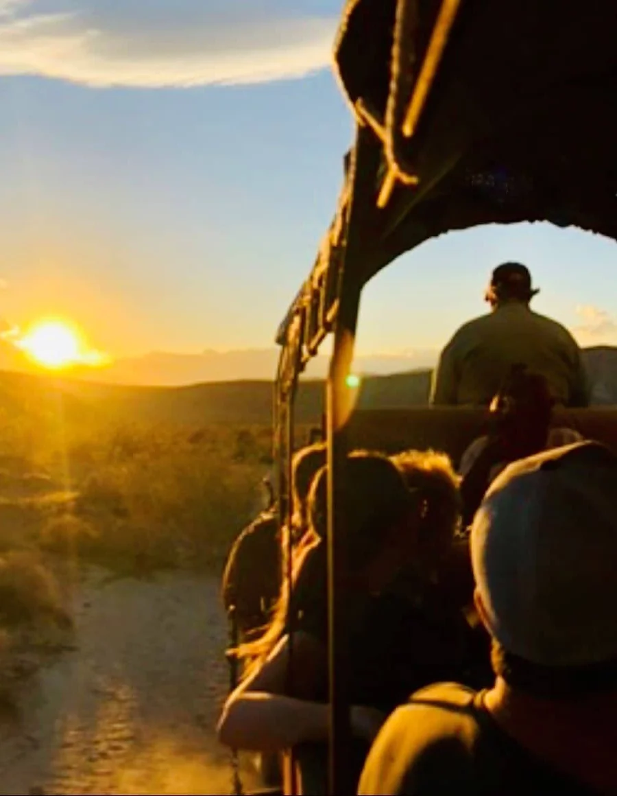 Wagon tour passengers enjoying a sunset view in a desert oasis, led by a naturalist guide, showcasing the immersive experience of Covered Wagon Tours in Palm Springs.